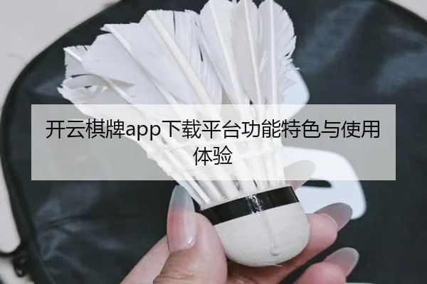 开云棋牌app下载平台功能特色与使用体验